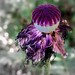 Kathi Jones Photo 35