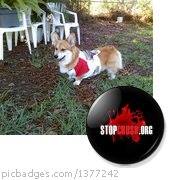Terry Watts Photo 5