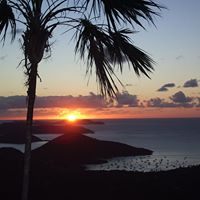 Cathy Kenyon Photo 4