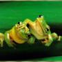 Michelle Leger Photo 25