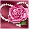 Pritesh Shah Photo 22