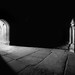 Scott Licht Photo 16