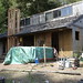Janet Emmons Photo 14