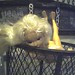 John Underhill Photo 46