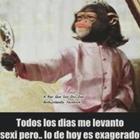Marcos Cortes Photo 5