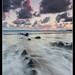 Joe Luster Photo 19