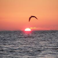 Willie Conner Photo 7