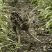 Fawn Stephens Photo 19