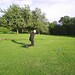 Anne Ashworth Photo 32