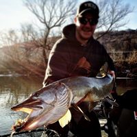 Andy Mckinney Photo 8