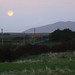 Patrick Moon Photo 39