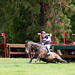 William Fox Photo 29