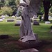 Alice Grove Photo 23