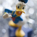 Donald Monday Photo 15