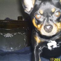 Mike Cady Photo 1