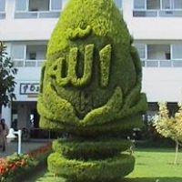 Manzoor Ahmad Photo 5