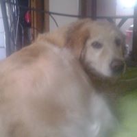 Darlene Seaman Photo 1