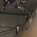Sean Goff Photo 33