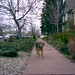 Margie Shepard Photo 13