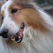 Molly Bridges Photo 20