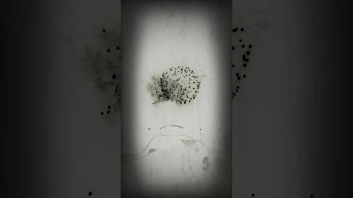 Jennifer Pagel Photo 26