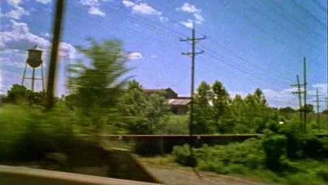 Marcy Welch Photo 11