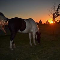 Lisa Schuster Photo 6