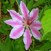 Jay Moser Photo 27