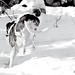 Frankie Wells Photo 35