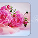 Digna Rosa Photo 13