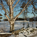 Deborah Trapp Photo 25