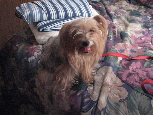 Stacey Grimes Photo 12