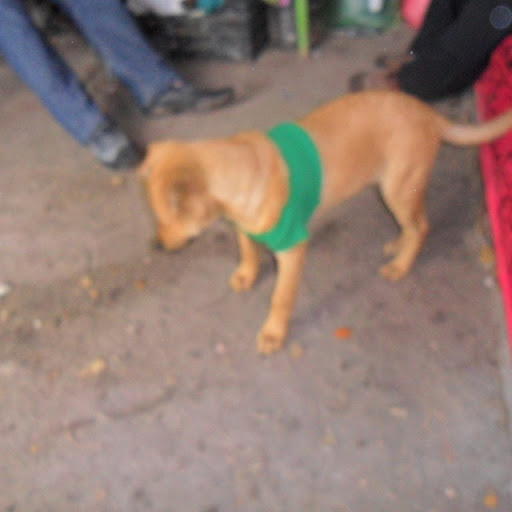Eliud Fuentes Photo 7