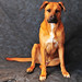 Steve Maier Photo 31