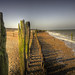 Gregory Wooden Photo 20