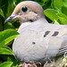Marianne Hatch Photo 14