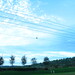 Buddy Hawks Photo 18