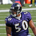 Tim Johnson Photo 35