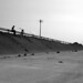 Joan Saenz Photo 24