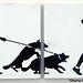 Ray Emanuel Photo 25