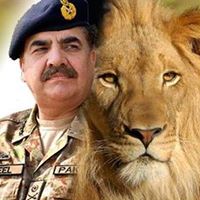 Sabri Hammad Photo 3