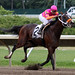 Joe Stake Photo 17