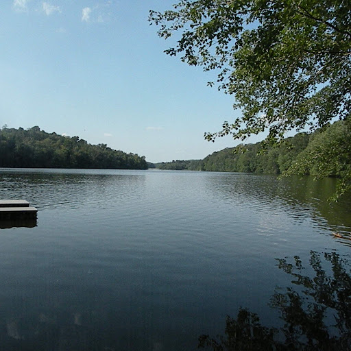 Donna Ott Photo 11