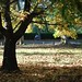 Autumn Bradbury Photo 12
