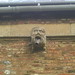 Paul Watlington Photo 16