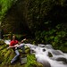 Wayne Lints Photo 8