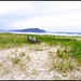 Don Gearhart Photo 16