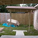 Rickey Ross Photo 25