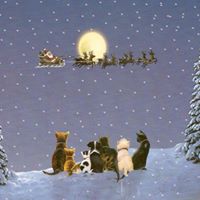 Chris Cupples Photo 7
