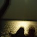 George Mccook Photo 21